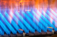 Diptford gas fired boilers